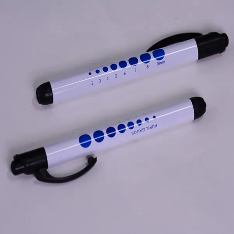 SunnyWorld Popular Digital Penlight mit 2 Stück AAA-Batterien SW-PL41